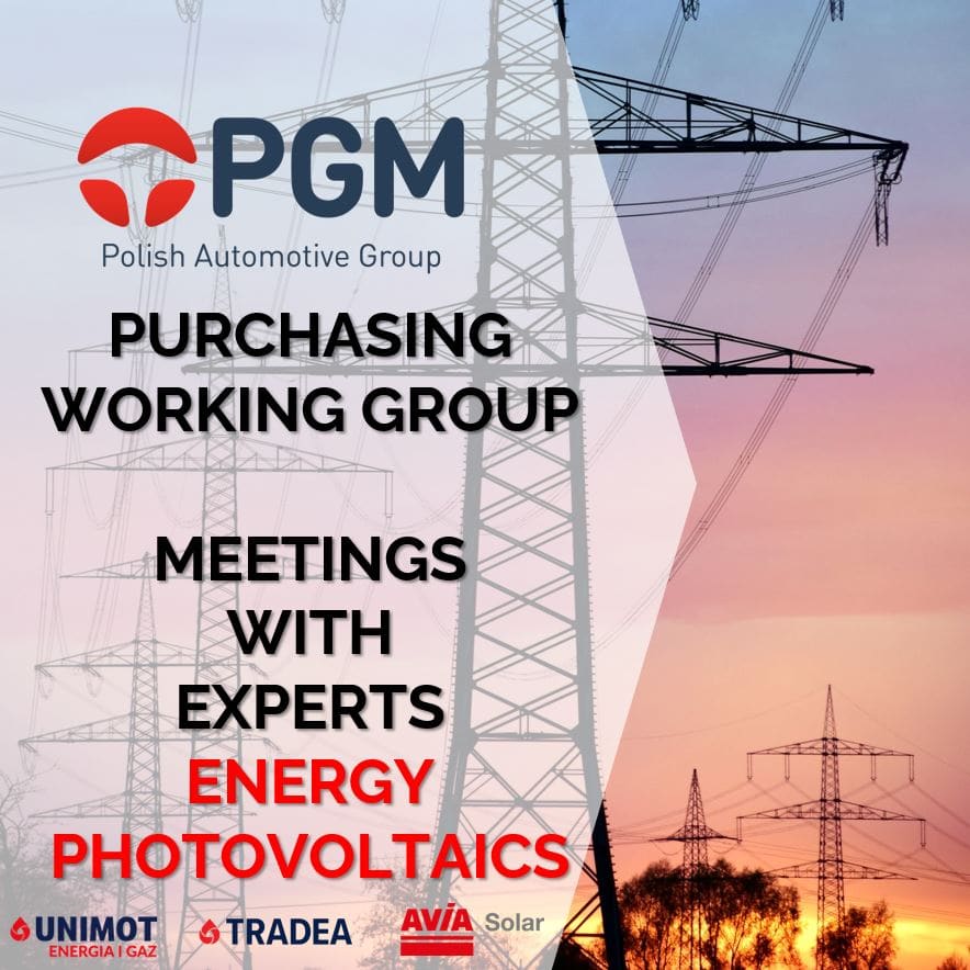 Meetings with energy experts for the PGM Working Group on Purchasing