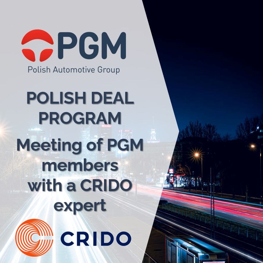Meeting of PGM members with a CRIDO HR expert on the Polish Deal program